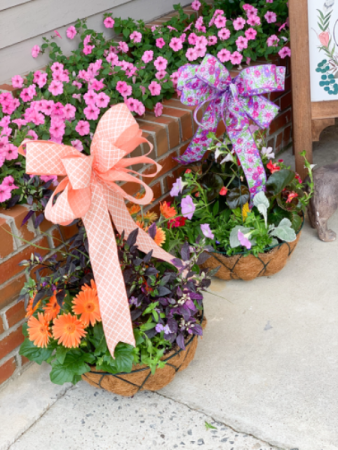Deluxe Hanging Basket Hanging Basket in Mcrae, GA | Holly Diana Floral Deluxe Hanging Basket Hanging Basket in Mcrae, GA | Holly Diana Floral