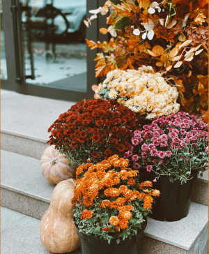 Deluxe Package Porch Styling