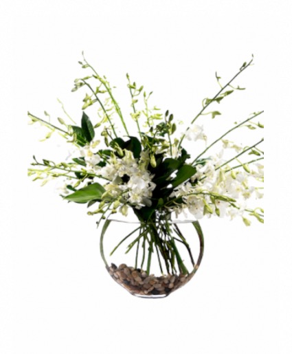 Deluxe white Dendrobium orchids 