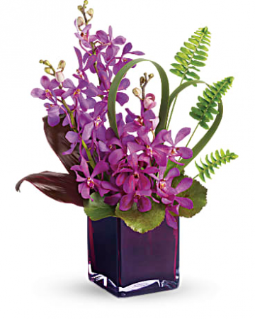 Dendro Orchids Fresh Flowers