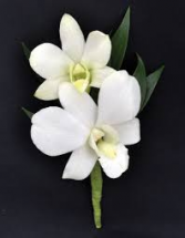 Dendro Orchid Boutonniere Available in other colors please call.
