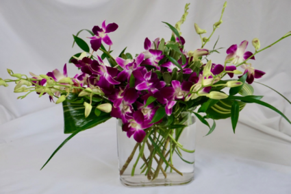 Dendrobium Fest Vase arrangement