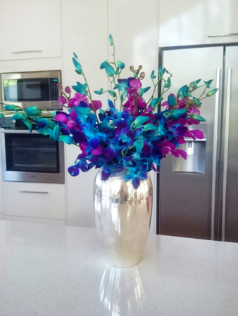 Dendrobium Orchids
