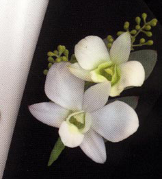 Dendrobium Orchids Boutonniere