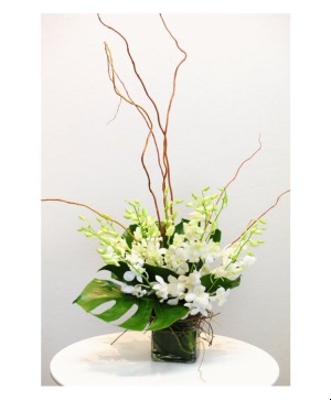 Dendrobium Orchids In Cube vase