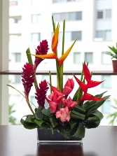 “Deseo Exótico” Valentine 2026