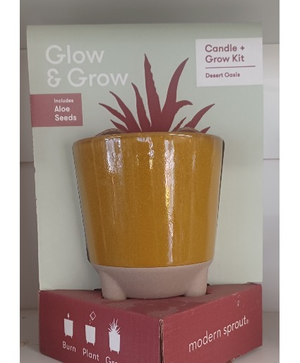 Desert Oasis scented candle and Aloe grow kit gift