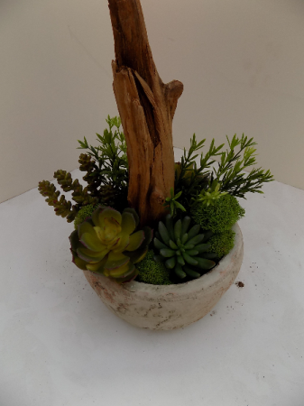 Desert Oasis Permanant Garden