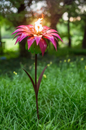 Desert Steel Dahlia