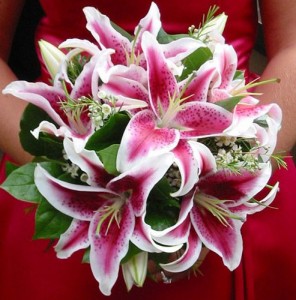Designed Wedding Bouquets Fresh/Silk Flowers
