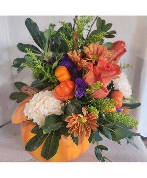 Designer Choice  Ceramic Pumkin