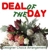 Designer Choice Christmas  Arrangement