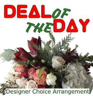 Designer Choice Christmas  Arrangement