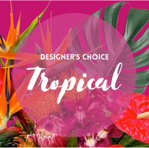 Designer choice Tropical Arrangement container arrangement