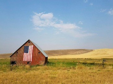 Designer Creation Premium Options  in Fort Worth, TX | DAVIS FLORAL DESIGNS