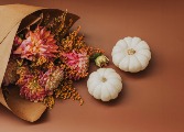 Designer Creation  Thanksgiving