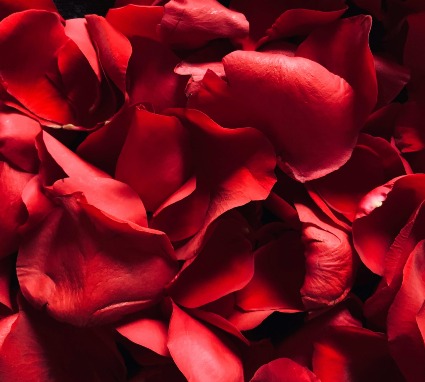 Designer Creation Valentine $200|$225|$275 