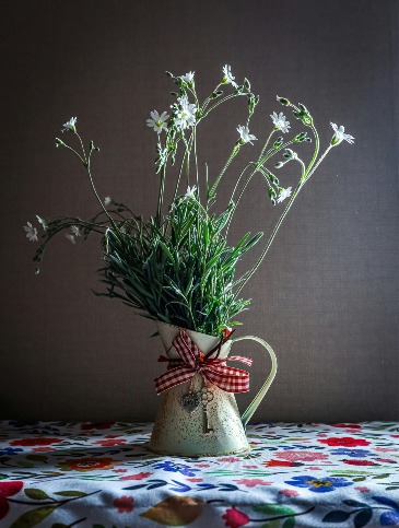 Designer Creation $50|$75|$100 Winter Flowers in Fort Worth, TX | DAVIS FLORAL DESIGNS