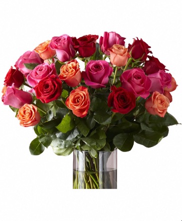 Designer DOUBLE Dozen Vase Arrangement Of Two Dozen Roses in Benkelman, NE | Seize The Daisy Designer DOUBLE Dozen Vase Arrangement Of Two Dozen Roses in Benkelman, NE | Seize The Daisy