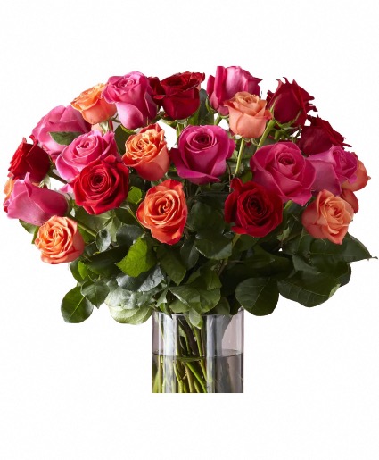 Designer DOUBLE Dozen  Vase Arrangement Of Two Dozen Roses 