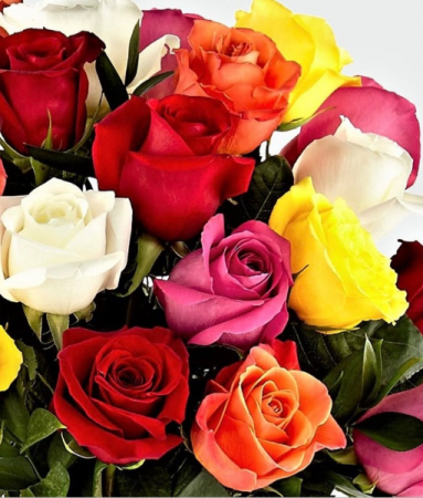 Designers Choice 12 Mixed Roses No Vase  12 Mixed Colored Roses No Vase 