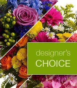 Designers Choice                                                                      in Michigan City, IN | WRIGHT'S FLOWERS AND GIFTS INC.