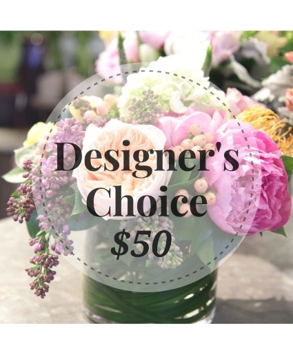 Designers Choice $50 