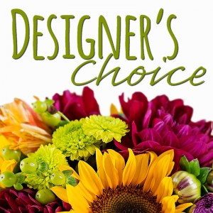 Designer's Choice Let us Design Something For You!