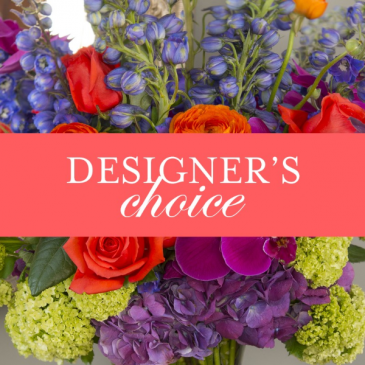 Designer's Choice