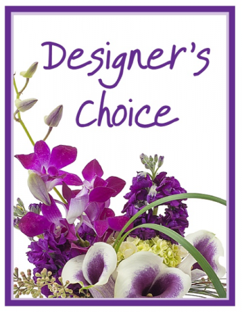 Designer's Choice