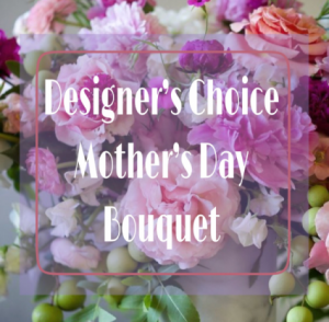 Designer's Choice 