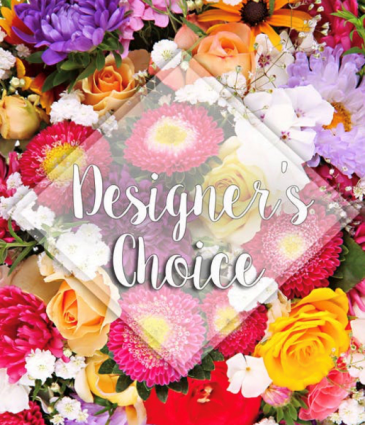 Designer's Choice