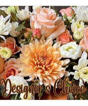 Designers Choice Deluxe