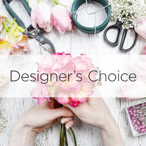 Designers Choice 