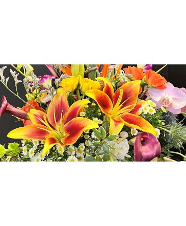 Designer's Choice! in New Orleans, LA | HARKINS THE FLORIST Designer's Choice! in New Orleans, LA | HARKINS THE FLORIST