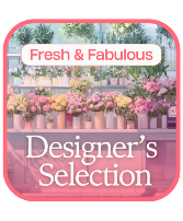 Designers Choice 