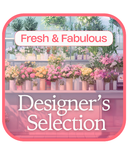 Designers Choice 
