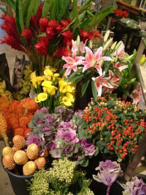 DESIGNERS CHOICE 74.99-124.99 ARRANGEMENT