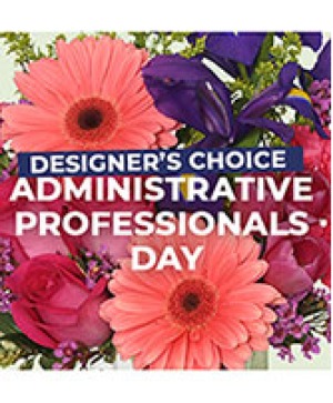 Designer's Choice Admin Professional - 00345 