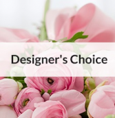 Designer's Choice Arrangement in Cincinnati, Ohio | Hyde Park Floral & Garden
