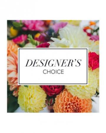 Designers Choice Arrangement
