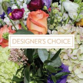 Starting at Designers Choice