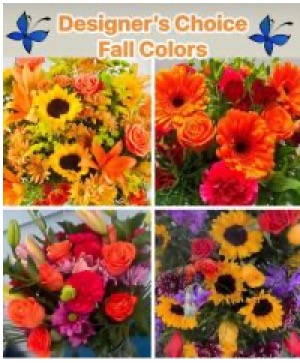 DESIGNER’S CHOICE Autumn Colors 