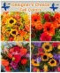 DESIGNER’S CHOICE Autumn Colors 