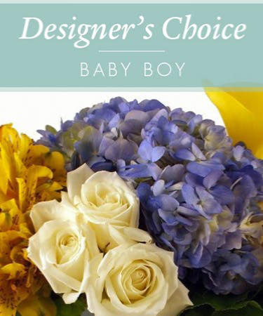 Designers Choice - Baby Boy! Baby Boy Bouquet