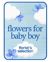 Designer's Choice Baby Boy Flower Arrangement