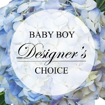 Designer's Choice - Baby Boy Fresh Arrangement in Jefferson City, MO | RIVER CITY FLORIST & GIFTS Designer's Choice - Baby Boy Fresh Arrangement in Jefferson City, MO | RIVER CITY FLORIST & GIFTS
