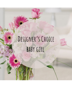 Designers Choice Baby Girl 
