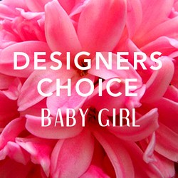 Designers Choice Baby Girl Arranement