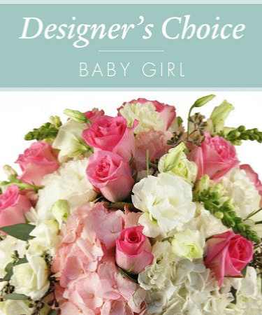 Designers Choice - Baby Girl Baby Girl Bouquet